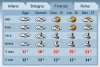meteo.gif