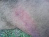 DSC00220.jpg
