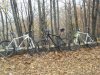 SDC12039.jpg