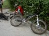 colli057.jpg