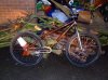 DSCF3109.jpg