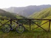 23052010330.jpg