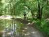 23-5-2010 006.jpg