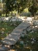 DSCN4330.jpg