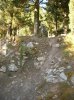 DSCN4345.jpg