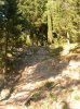 DSCN4347.jpg