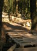 DSCN4351.jpg