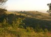 DSCN4387.jpg