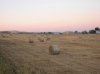 DSCN4395.jpg