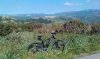 IMAG0016.jpg