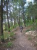 DSCN4413.jpg