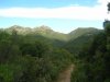 DSCN8025.jpg
