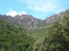 DSCN8036.jpg