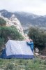 into the wild 1.jpg