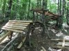 SDC16587.jpg