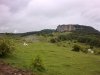 19062010_006.jpg