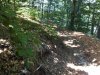 IMG00016-20100630-1405.jpg