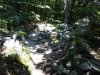 IMG00018-20100630-1450.jpg