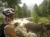 mtb 003.jpg