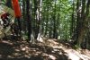 DSC_0713.jpg