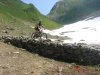 DSC08657.jpg
