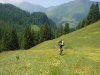 DSC08669.jpg