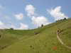 DSC08686.jpg