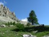 DSCN5690.jpg