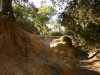 Pineto Canyon.JPG