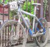 my scott.jpg