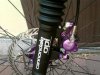 Elishoot-0114.jpg
