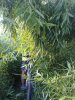 20072010238.jpg