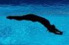 tuffo.jpg