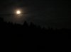 DSCN0450.jpg