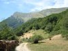 DSC02437.jpg