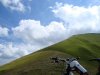 DSC02460.jpg