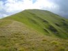 DSC02462.jpg