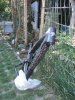 Dscf0133.jpg
