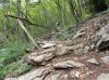 DSC00373.jpg