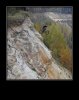633723191307733760-MountainBikingYouwillnotregretitifyoulive-----.jpg
