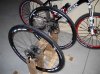 DSCN0198.jpg