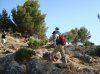 DSC04210.jpg