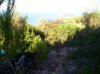 100_0864.jpg
