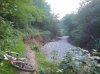 DSC00009.jpg