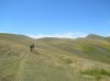 DSCN4334.jpg