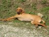 DSCN0534.jpg