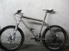 seven 010.jpg