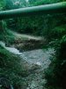DSC00025.jpg