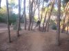 salti  in bici 017.jpg