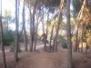salti  in bici 019.jpg